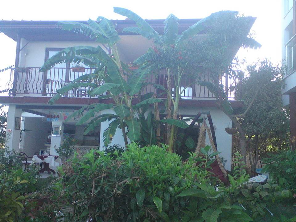 Außenanlage Hotel Side Elis