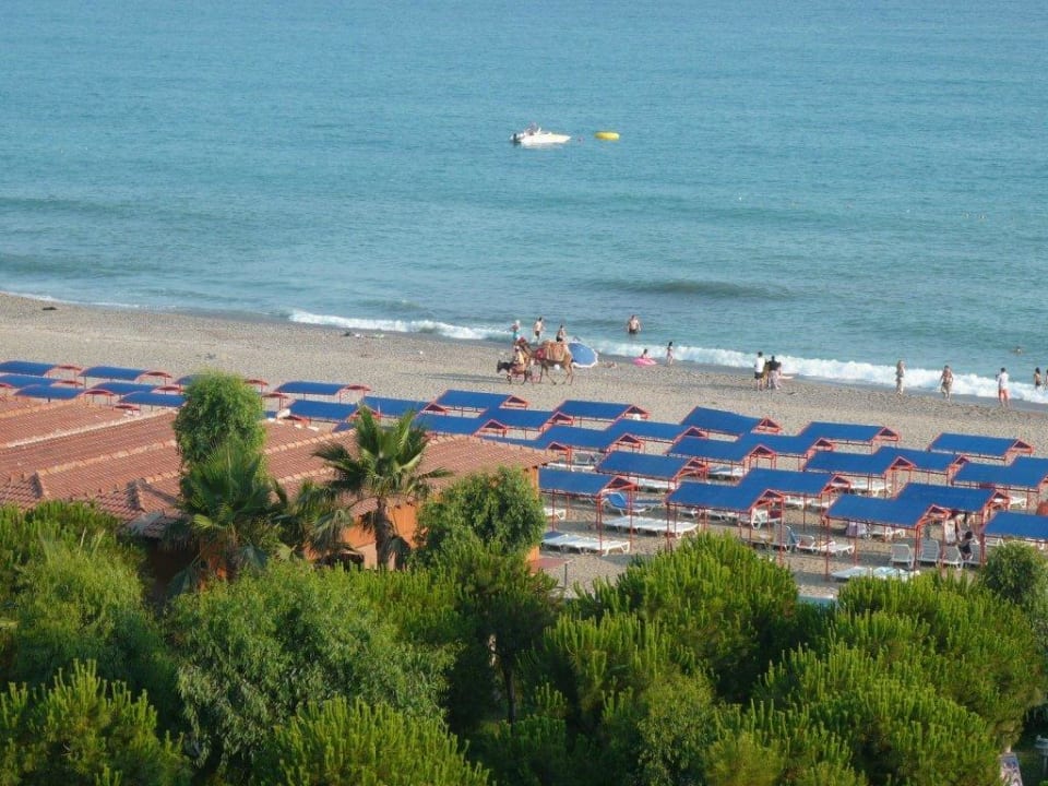 Hotelstrand Club Turtas Beach Hotel