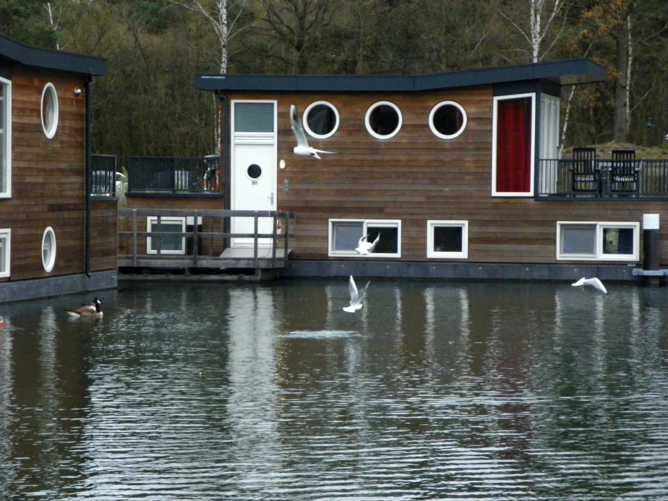 Bootstyp VIP-Standard NR.301-308 Center Parcs De Kempervennen