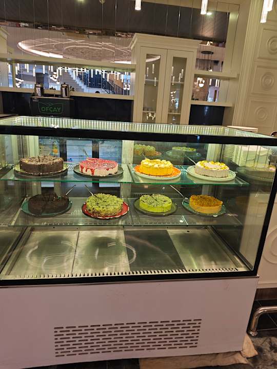 Gastro Seashell Vega