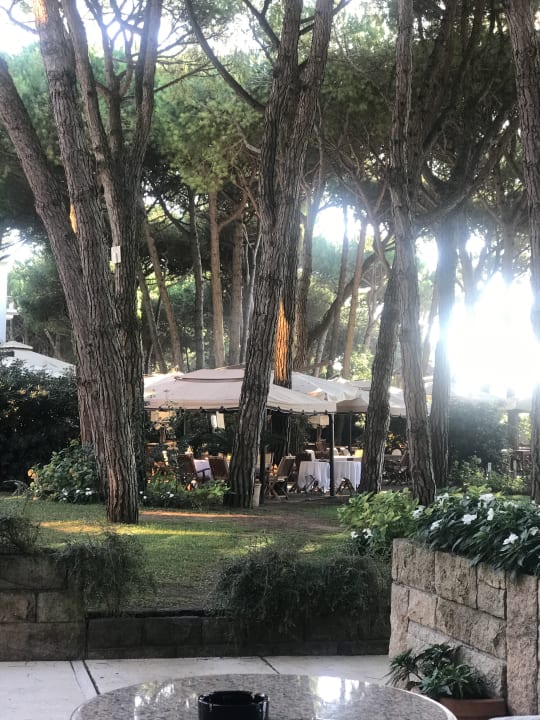 "Gartenanlage" Hotel Bellevue & Resort (Jesolo) • HolidayCheck