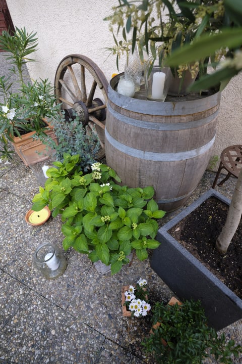 Gartenanlage Rheinhotel Wagner