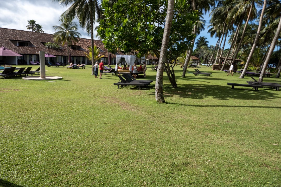 Gartenanlage Thaala Bentota