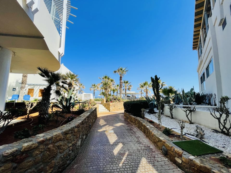 Gartenanlage Lyttos Beach Hotel