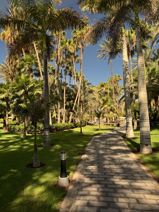 Gartenanlage Hotel Riu Palace Oasis