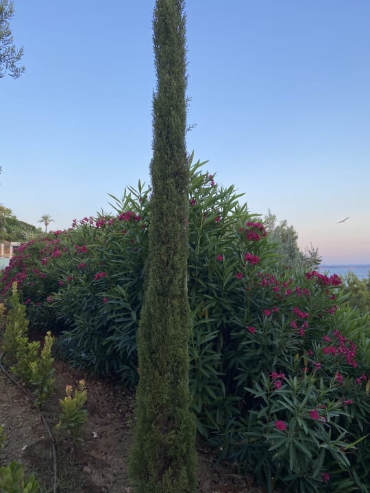 Gartenanlage Ikos Oceania