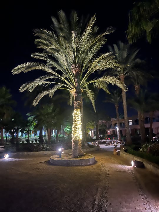 Gartenanlage Club Paradisio El Gouna, Red Sea
