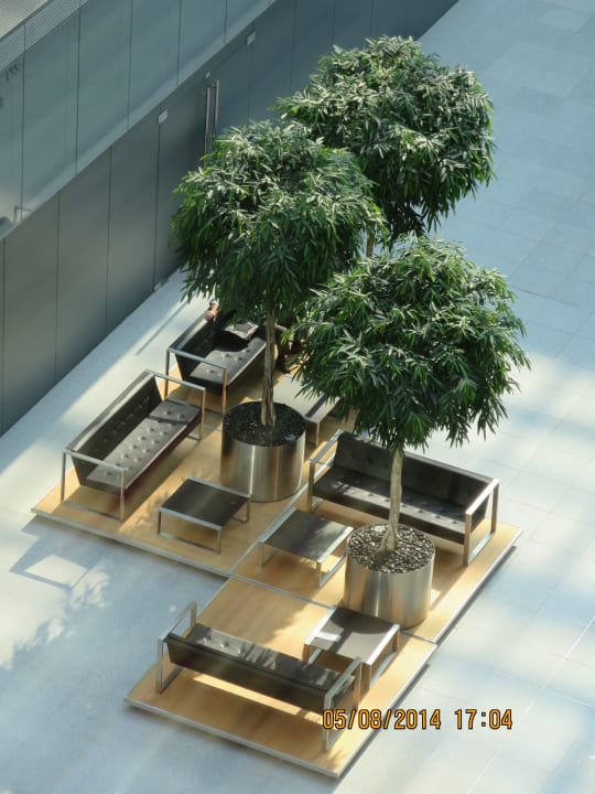 .... unter Palmen ... fast in der Lobby Hilton Garden Inn Frankfurt Airport