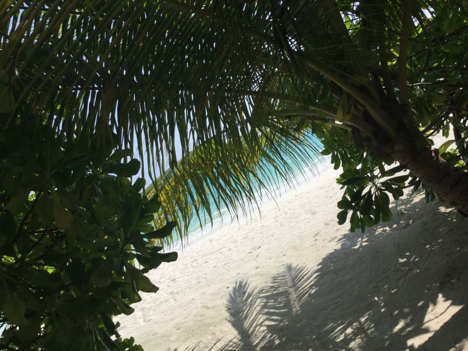 Strand Outrigger Maldives Maafushivaru Resort