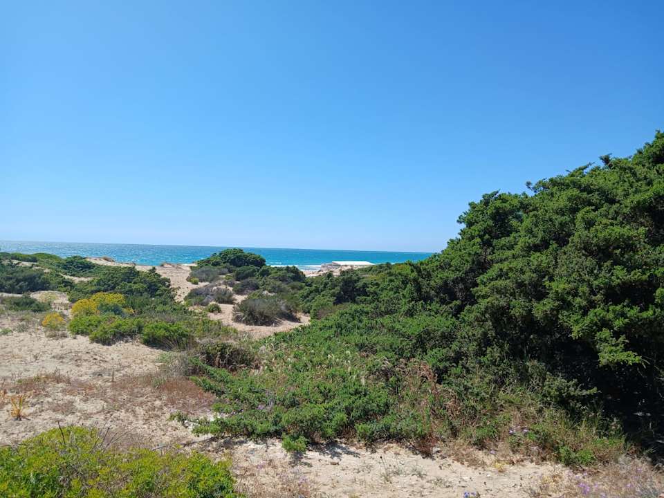 Strand Iberostar Selection Andalucía Playa
