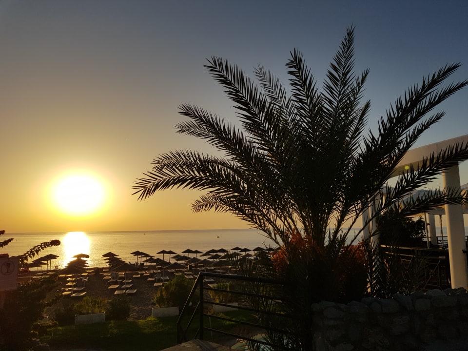 Ausblick Hotel Calypso Beach