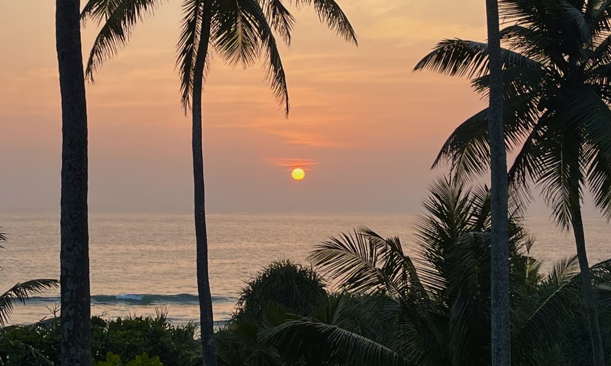 Ausblick Taj Bentota Resort & Spa