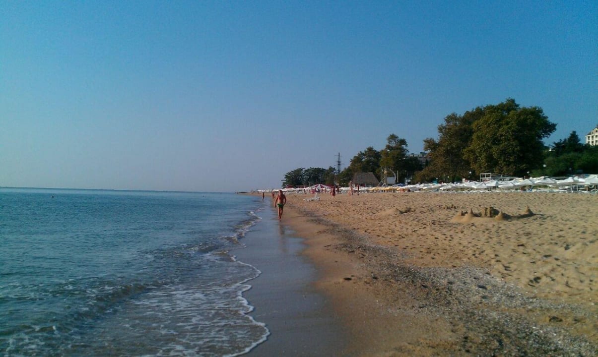 Sehr schön GRIFID Vistamar