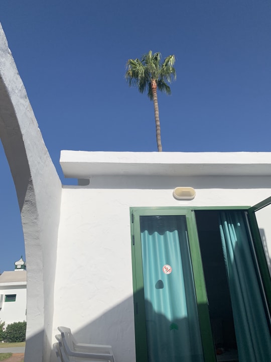 Außenansicht Canary Garden Club