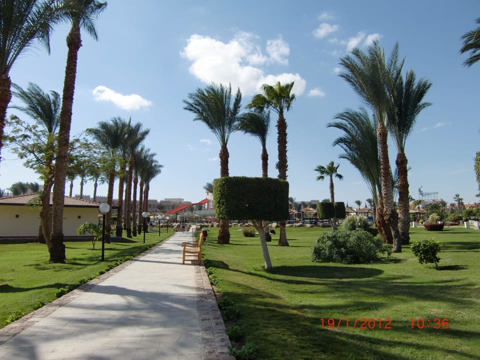 Garten Beach Albatros Resort