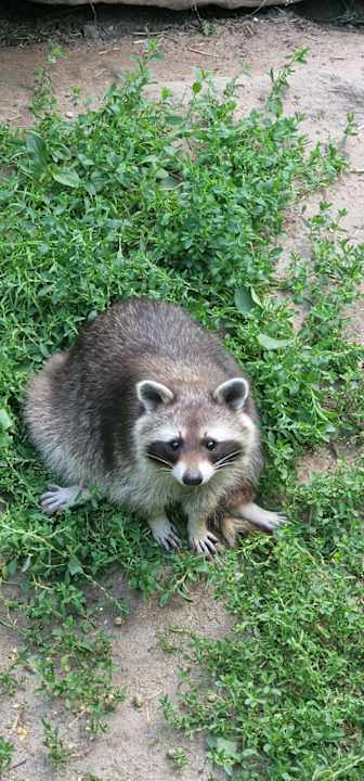 Sport & Freizeit Natur-Resort Tripsdrill