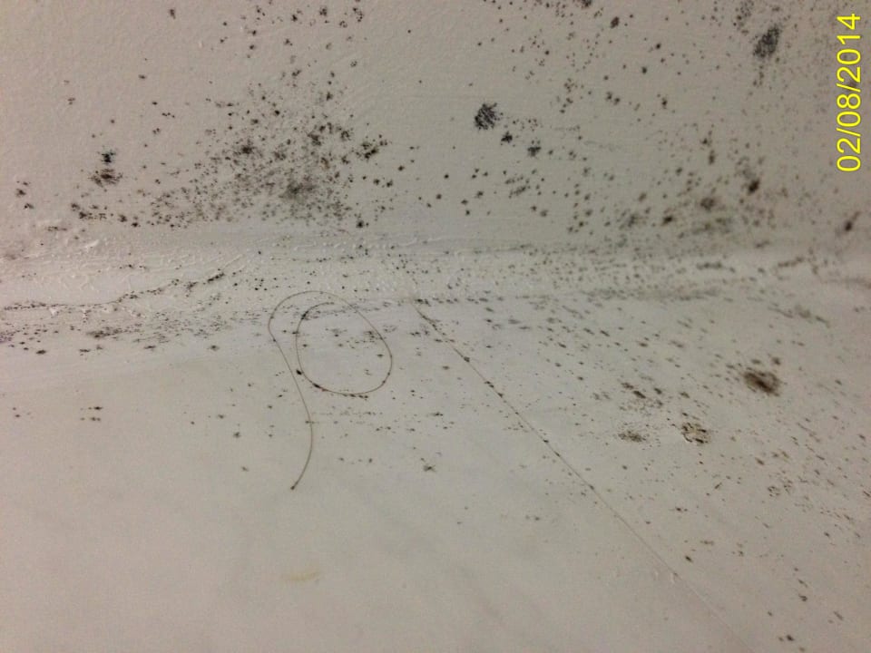 Schimmel und Haare an Badezimmerdecke The Park Hotel