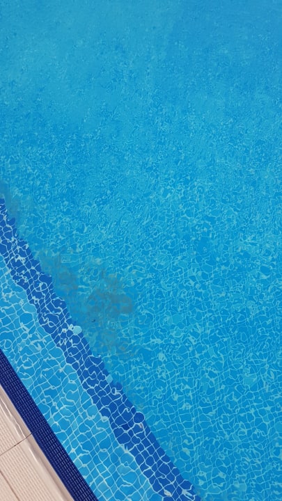 Pool Sineva Park