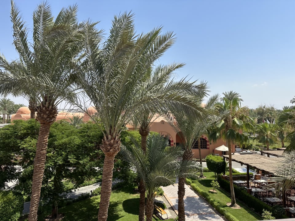 Gartenanlage Jaz Makadi Oasis Resort