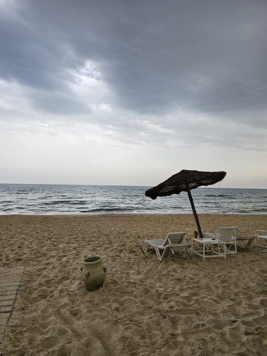 Strand Sentido Phenicia