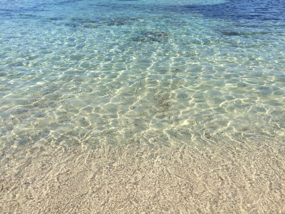 Sehr sauberes Wasser Hotel & Spa S'Entrador Playa