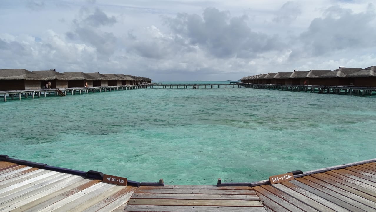 Steg zur Watervilla Medhufushi Island Resort