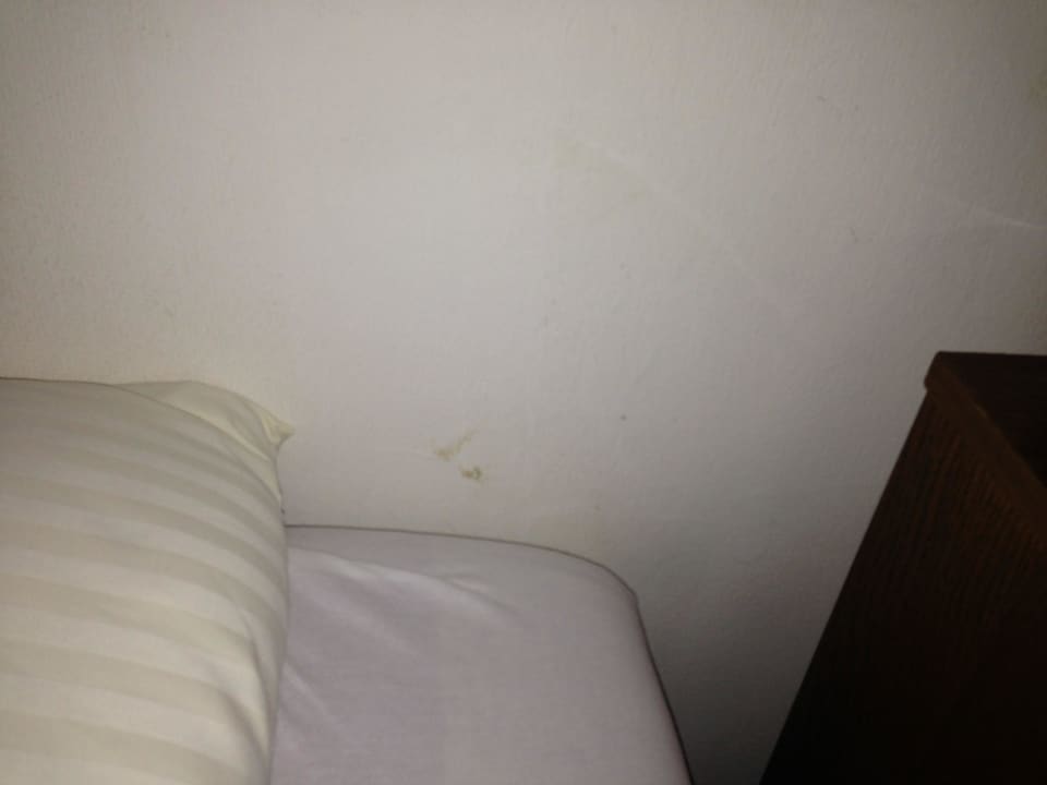 Blutflecken neben den kopfpolster  Gasthof Lindenhof Breitenlee