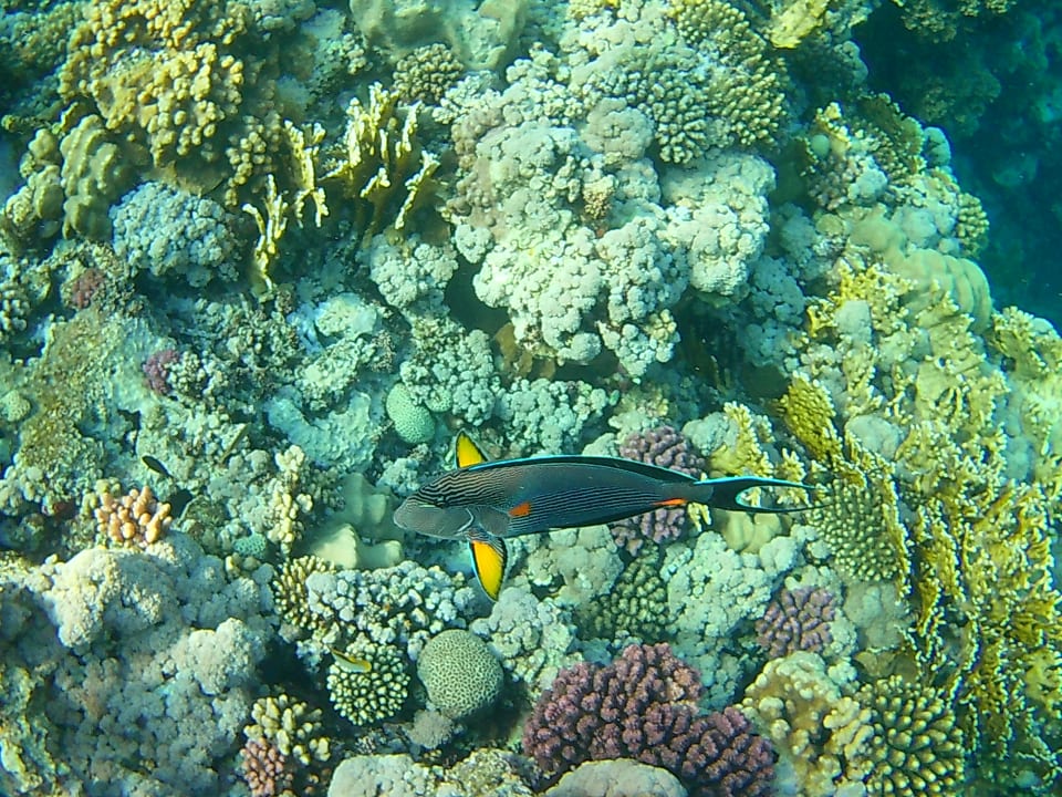 Strand Casa Mare Resort