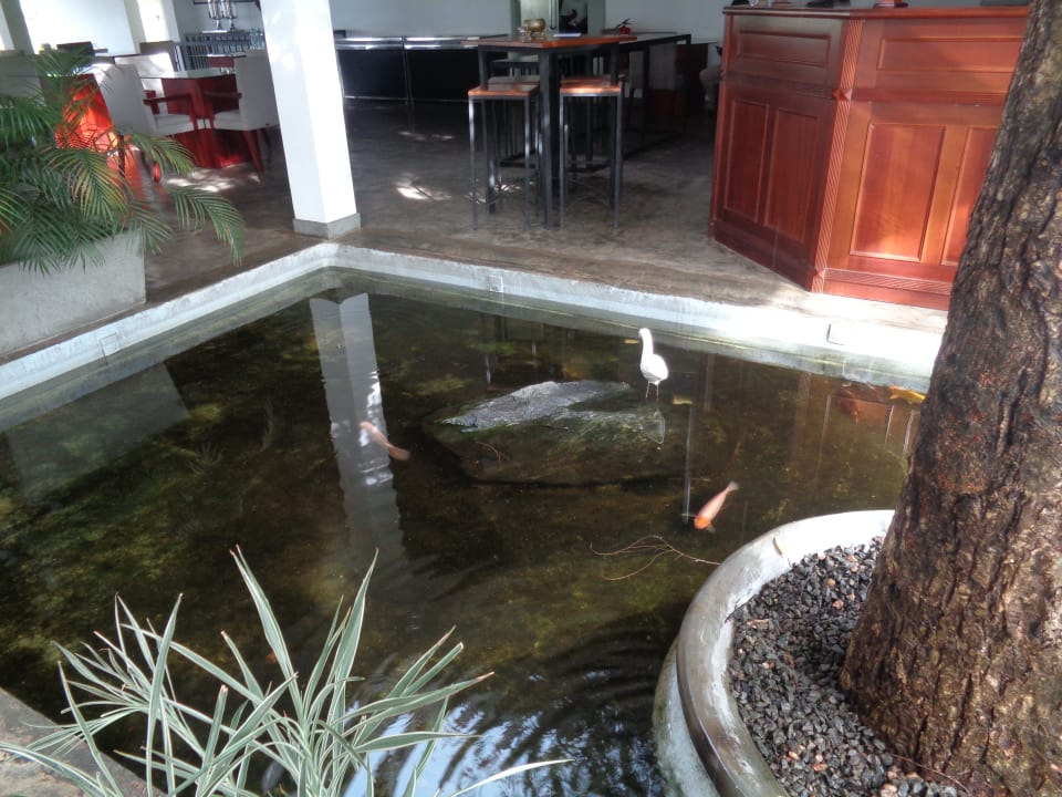 Eingangsbereich Wewa Addara Hotel - Hotel by the lake