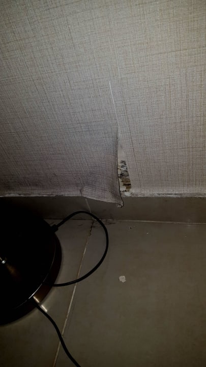 Schimmel unter loser Tapete Ephesia Holiday Beach Club