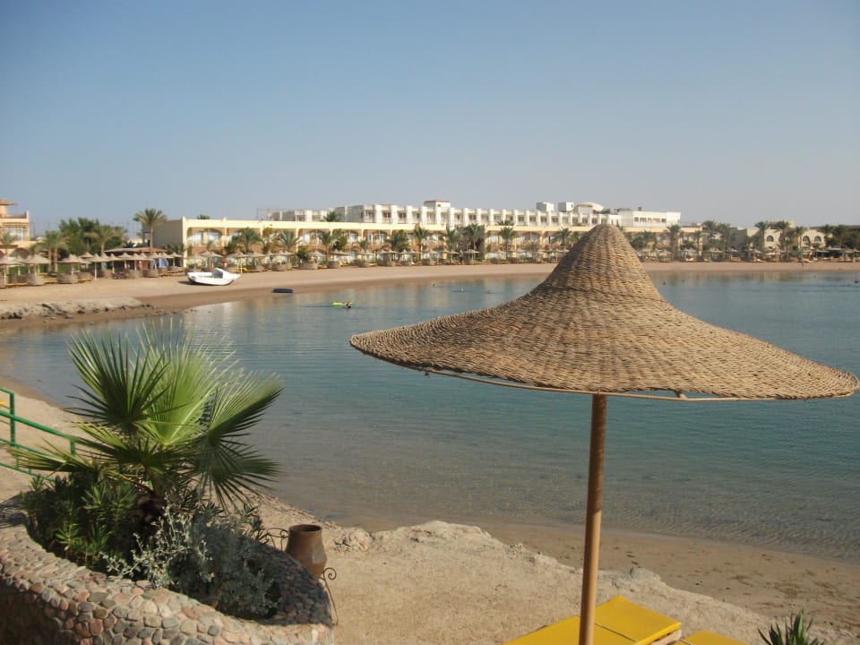 Am Ende der Lagune Desert Rose