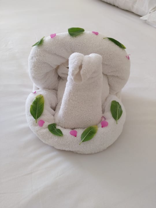 Lieblichen Dank Casa Mare Resort