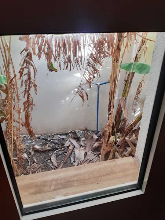 Ausblick Ormos Atalia Village