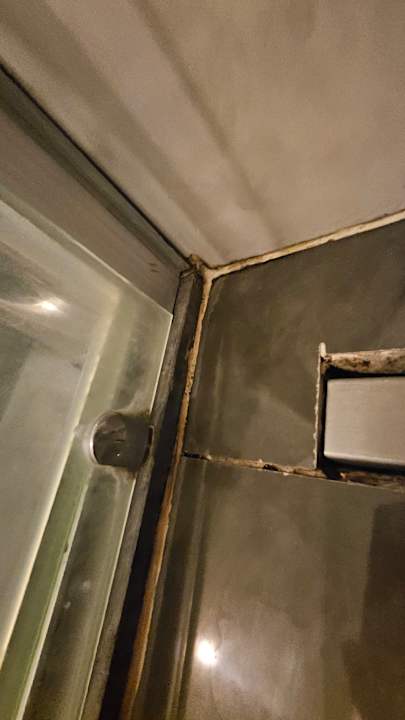 Zimmer Sherwood Exclusive Lara