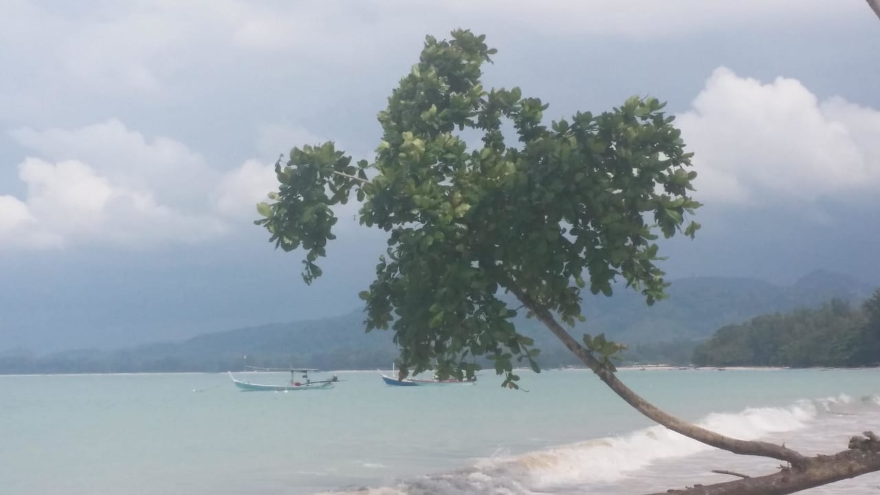 Coconut beach Khaolak Bhandari Resort & Spa