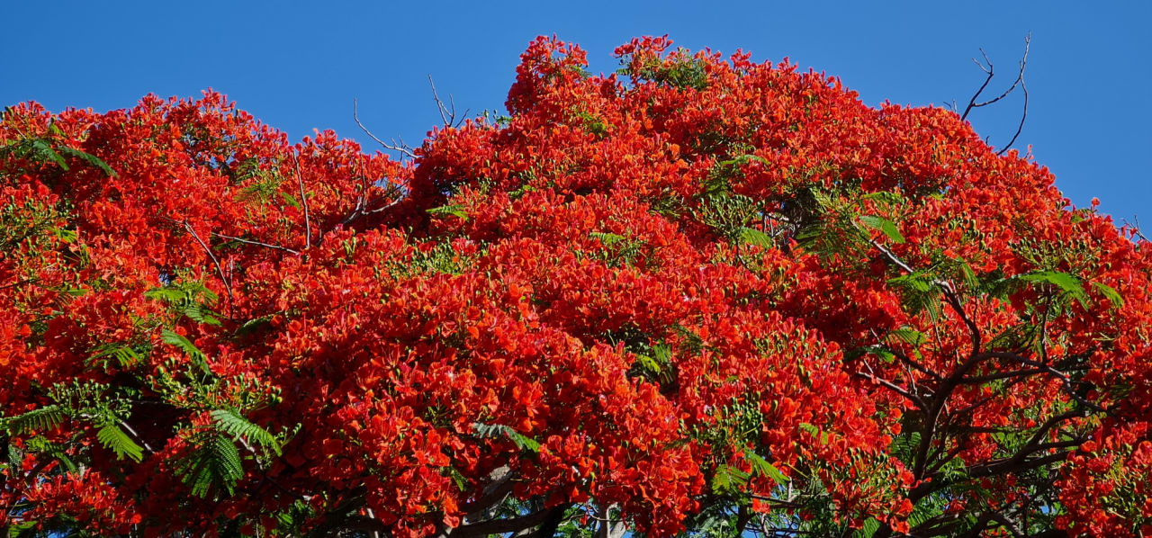 Sonstiges Sofitel Imperial Resort & Spa