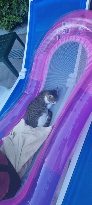 Sonstiges Hane Family Resort