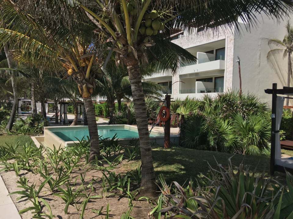 Pool Akumal Bay Beach & Wellness Resort