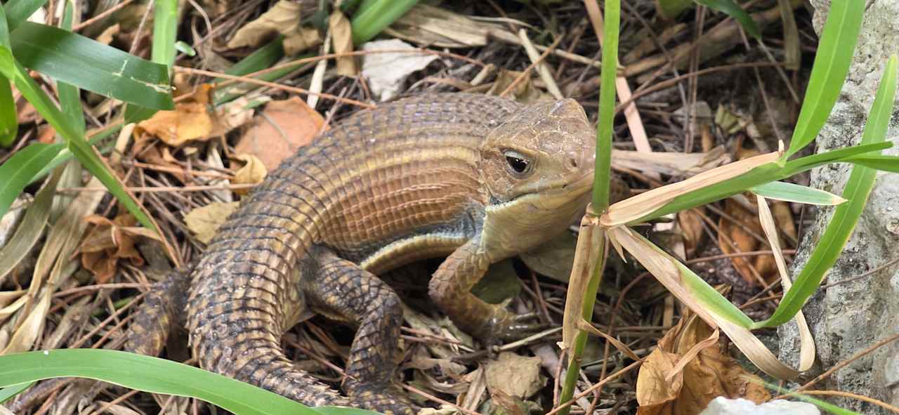 Pool Paradise Beach Resort