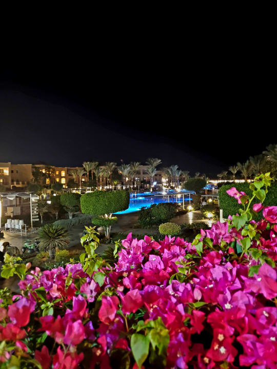 Gartenanlage JAZ Aquamarine Resort