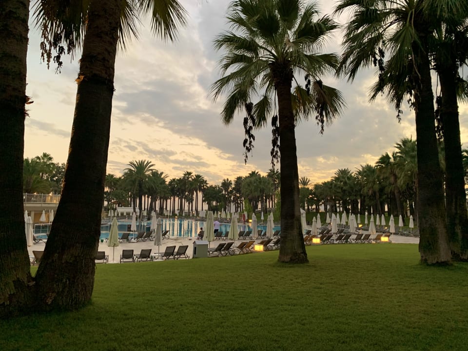 Pool Monachus Family Resort Sorgun