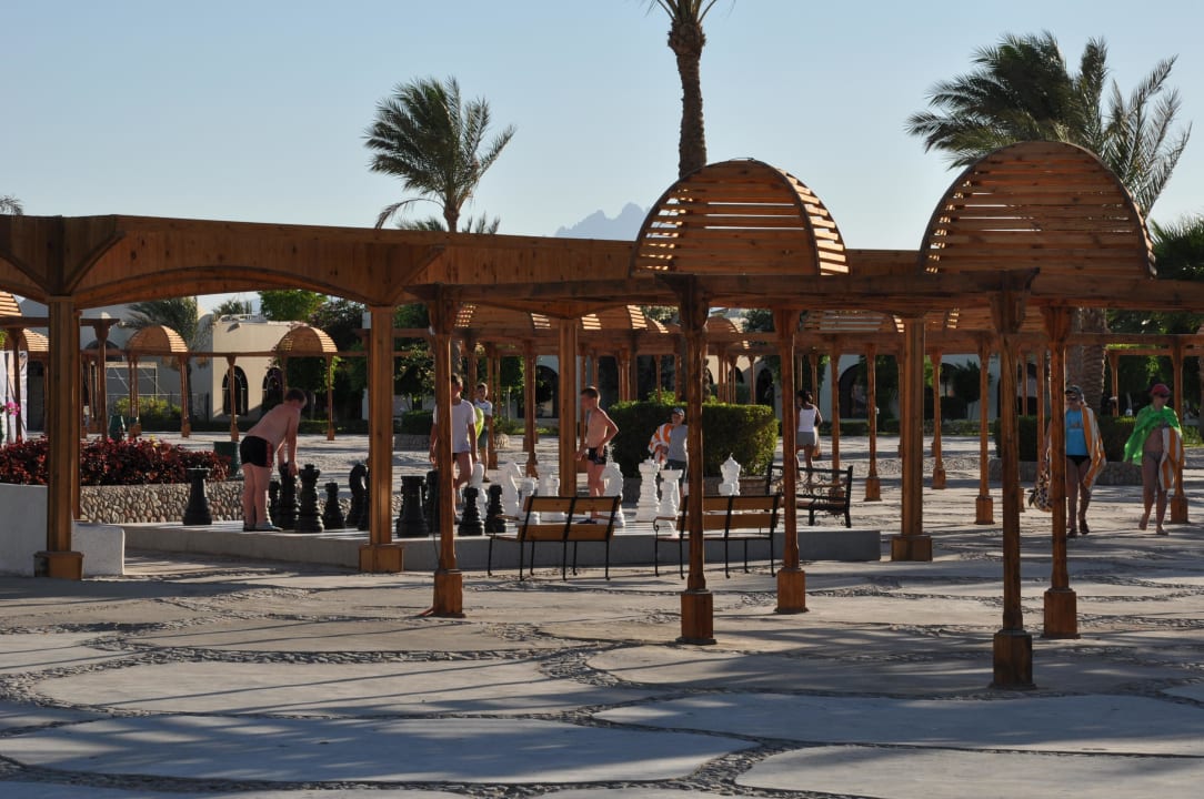 Outdoor Schachbrett Desert Rose