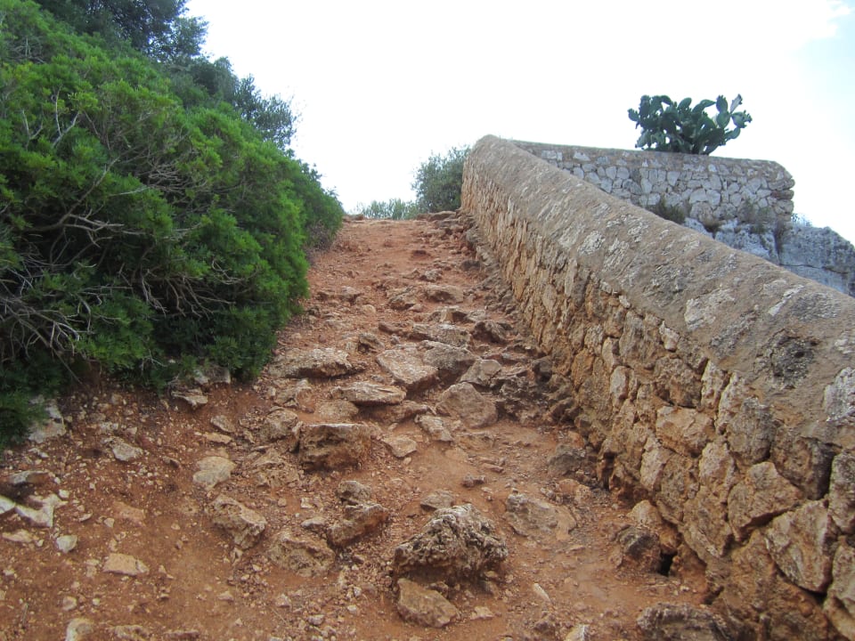 Sonstiges blau punta reina