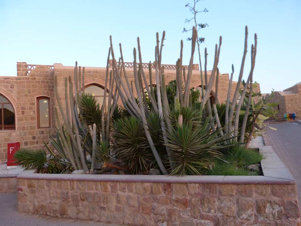Gartenanlage Mövenpick Resort & Spa El Gouna