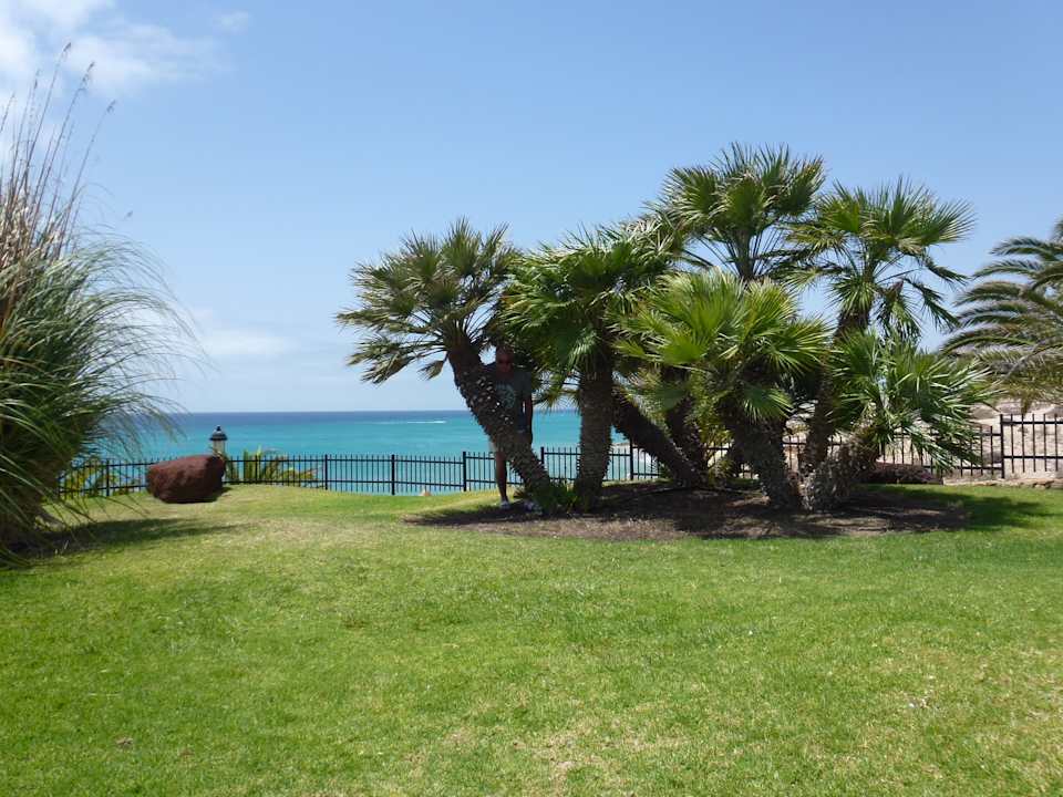 Gartenanlage R2 Pajara Beach