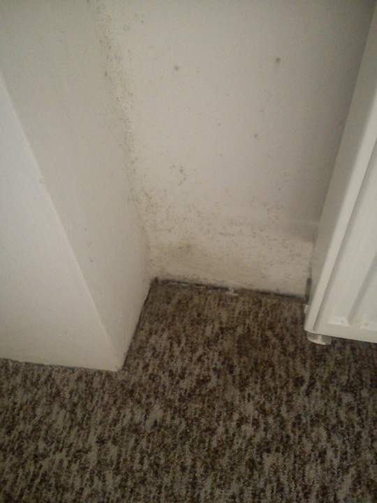 Plísen4 Hotel Beseda