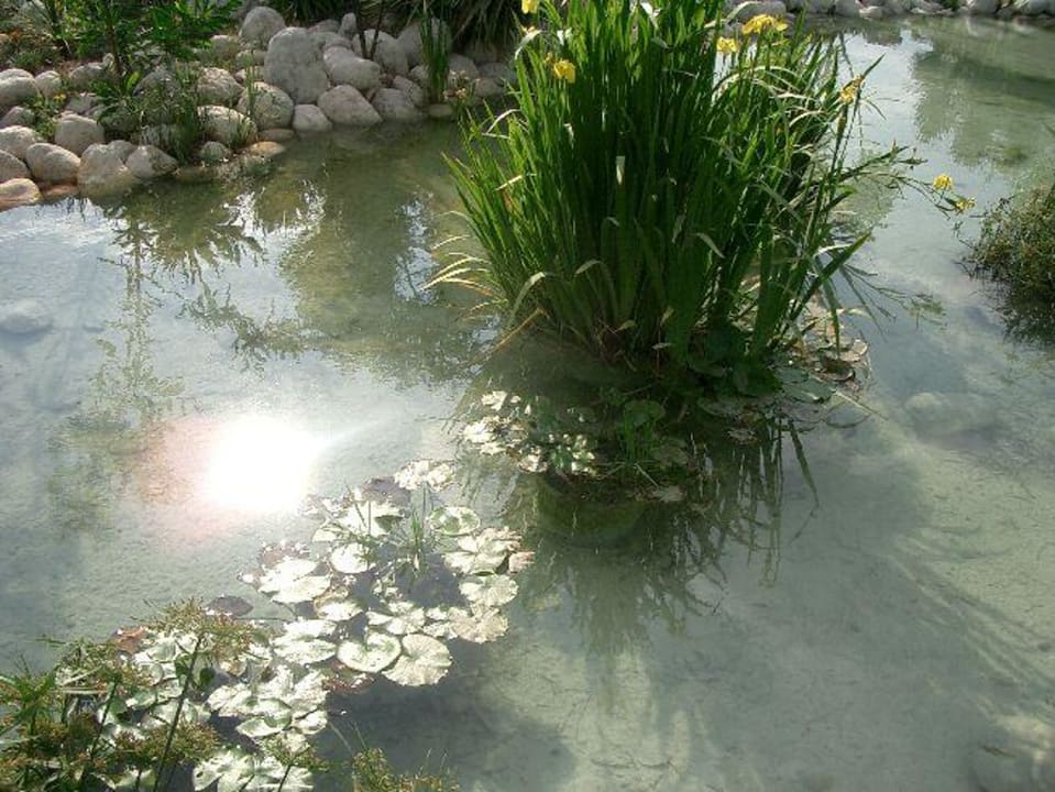 Kleiner Teich Asteria Family Belek