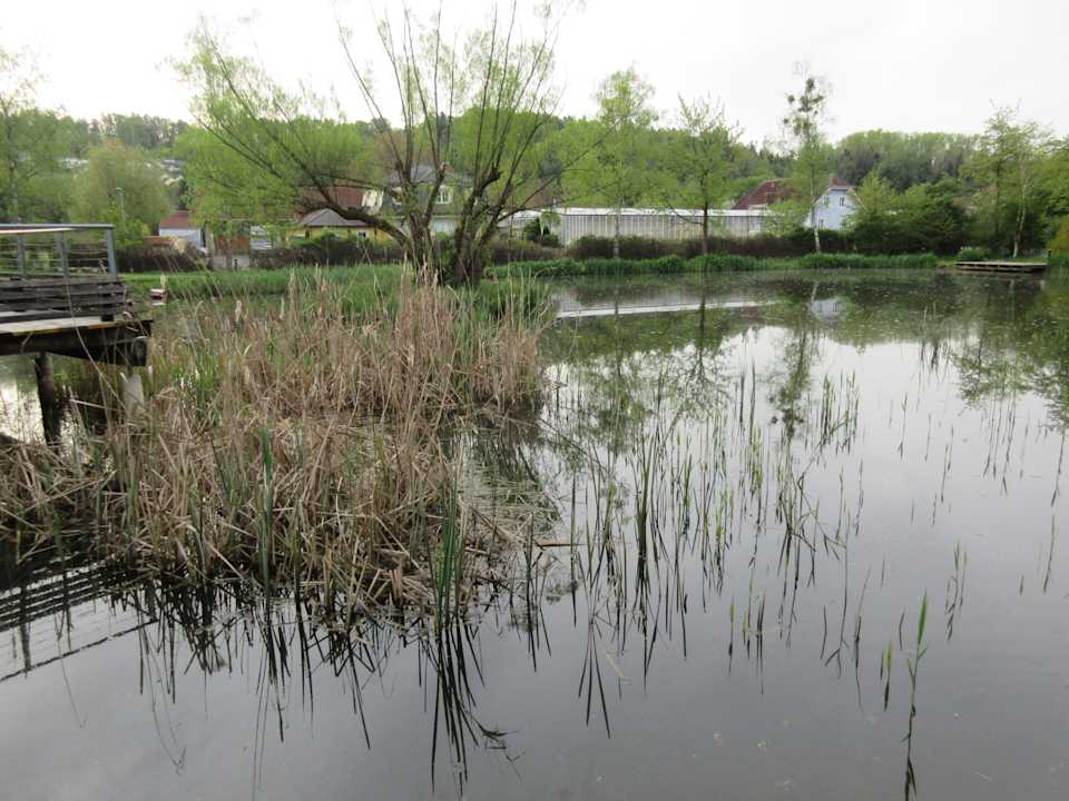 Gartenanlage Dormero SeHo Graz