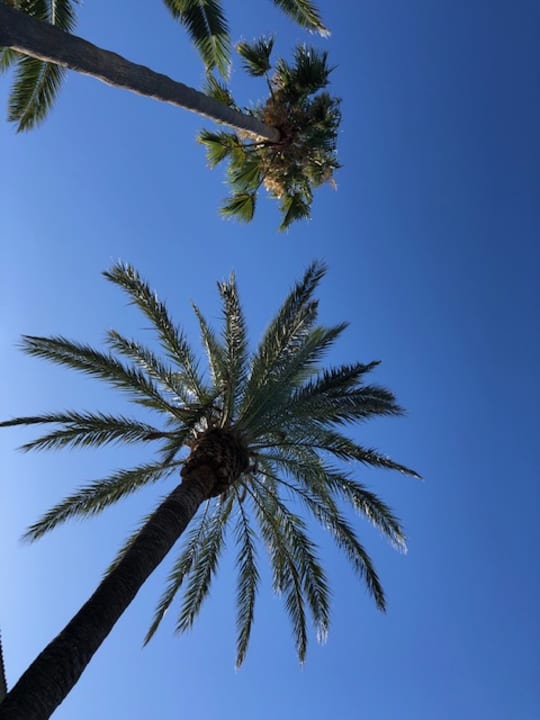 Ausblick Sun Club Eldorado