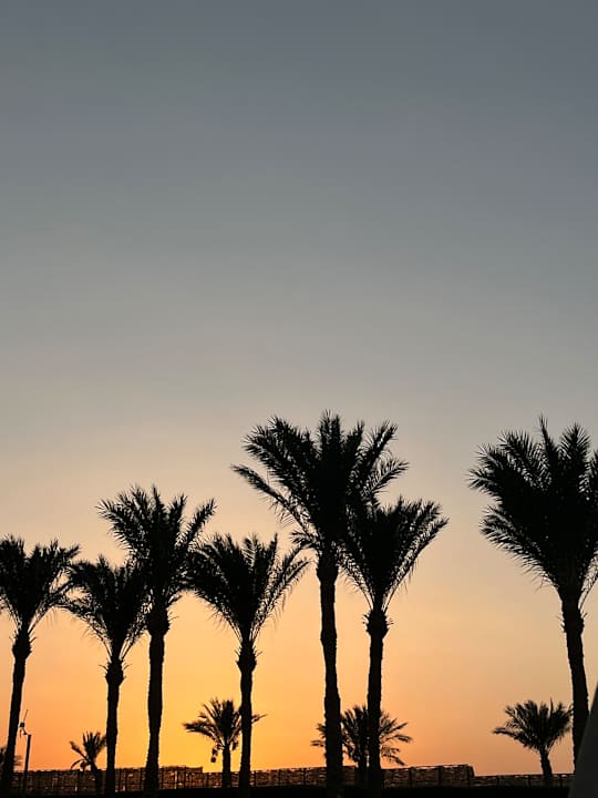 Ausblick Premier Le Reve Hotel & Spa